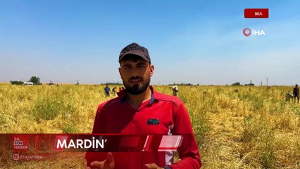 Mardin'de satamadığı soğanı hayrına dağıttı