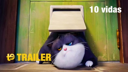 10 vidas - Trailer español