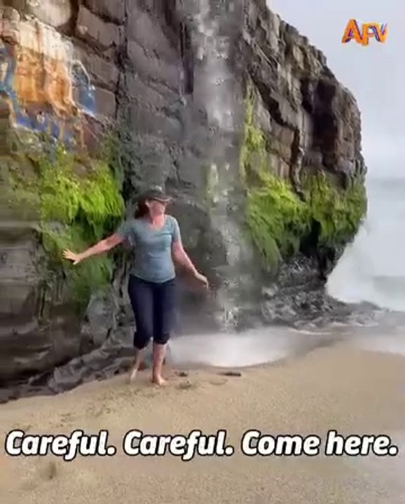 Best funny video 2024 in world