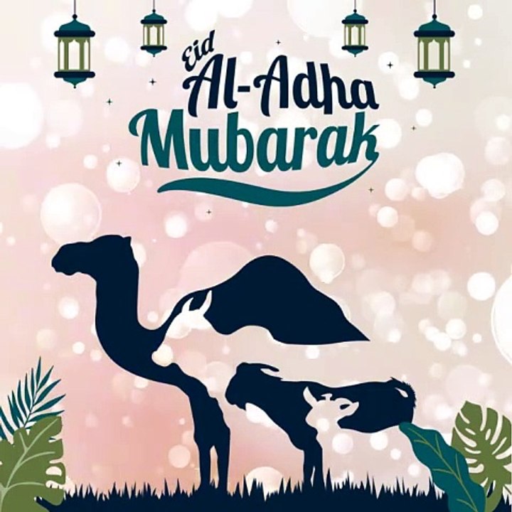 3rd day of Eid.e.Qurban