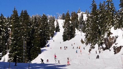 mixkit-snowy-hill-in-a-forest-full-of-skiers-3342-hd-ready