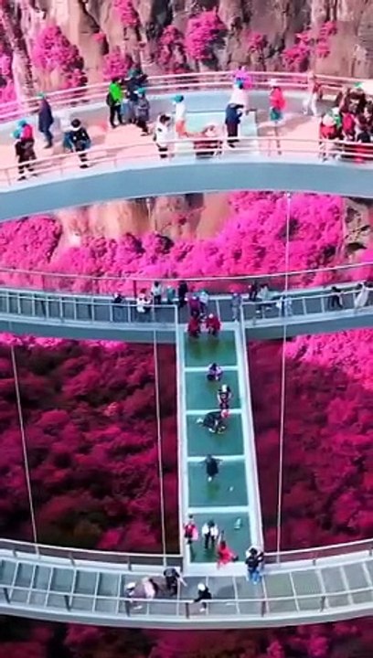 Amazing video