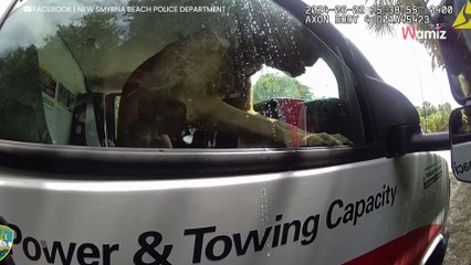 Ze laten hun hond opgesloten in auto in de zon achter om naar strand te gaan: de politie grijpt hard in (video)