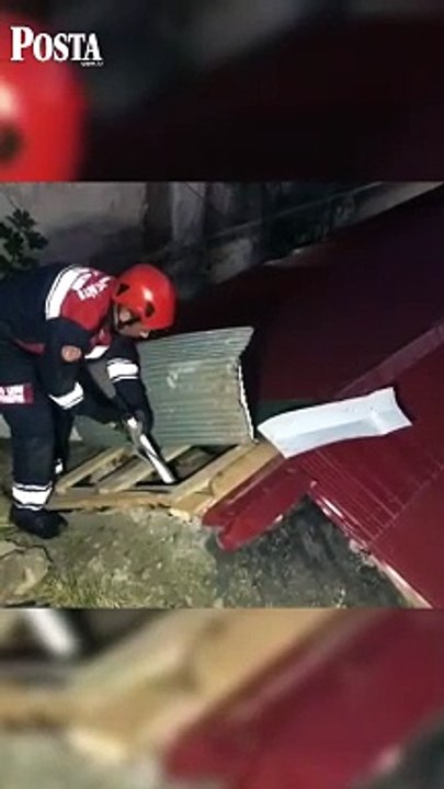 Yavru kedi 4 metre yükseklikten düştü, yavrusuna kavuşan anne kedi görenleri duygulandırdı