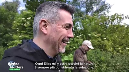 Come le Fiandre sfruttano la natura per prevenire le inondazioni mortali