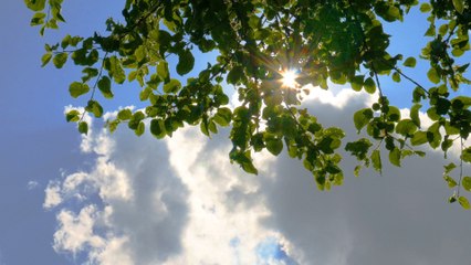 Heatwave due in the UK: When can we expect it?