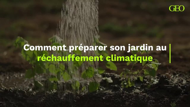 Comment préparer son jardin au réchauffement climatique