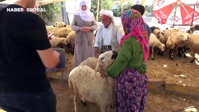 Diyarbakır'da hayvan pazarlarında bayramın son günü yoğunluk arttı