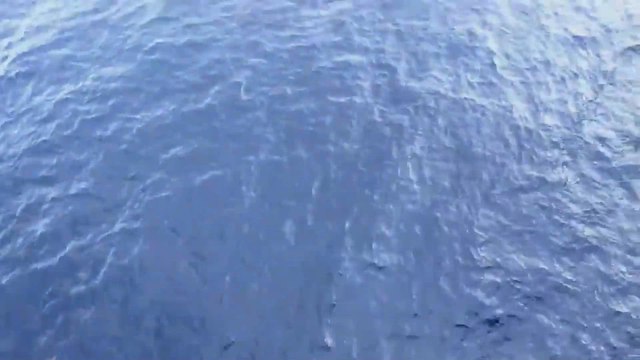 Preocupación por los tiburones en las Canarias: este vídeo arrasa en redes sociales
