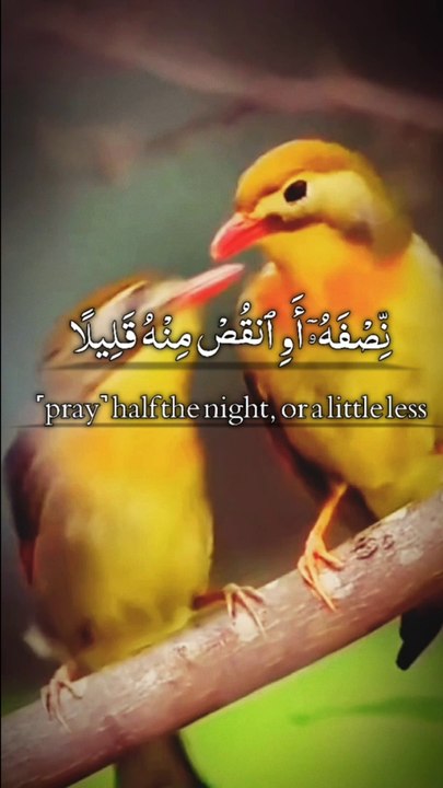 tha holly Quran english translate vioce of shikh Abdur Rahman mossad