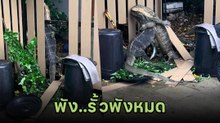 เหี้ยของจริง ไฝว้กันจนรั้วบ้านพังหมด เจอแบบนี้เจ้าของบ้านถึงกับกุมขมับ