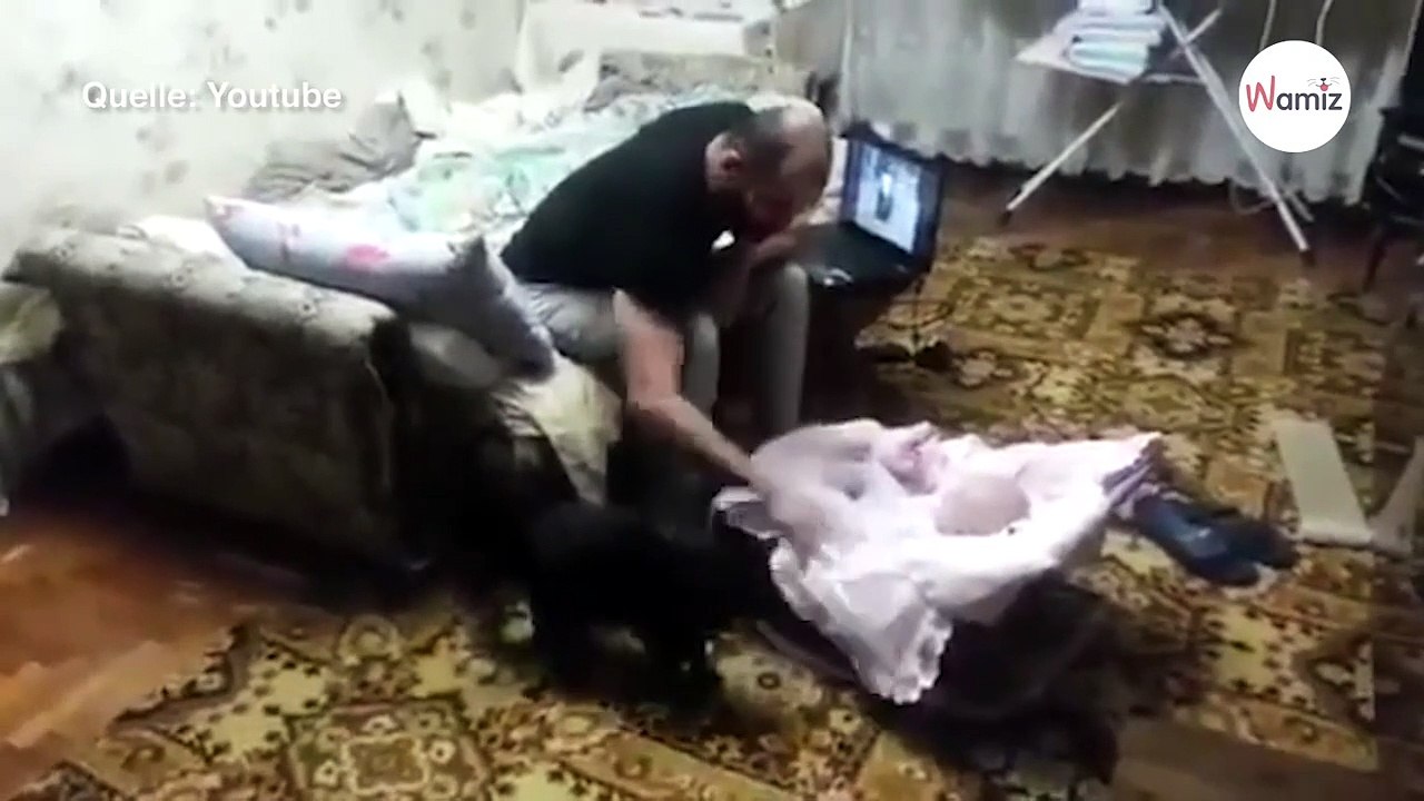 Vater „schlägt“ das Baby, schwarze Katze sorgt für Gänsehaut-Moment