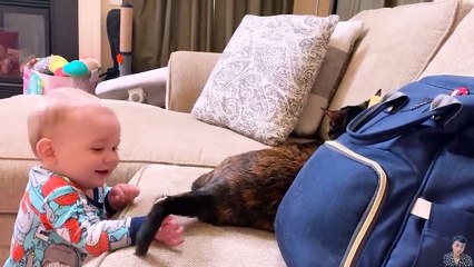 What Happends When Cute Cats Takes Care of Baby __ Cool Peachy(720P_HD)