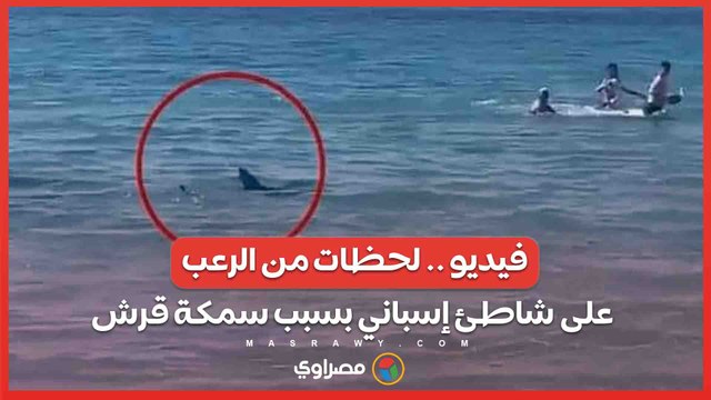 فيديو .. لحظات من الرعب على شاطئ إسباني بسبب سمكة قرش