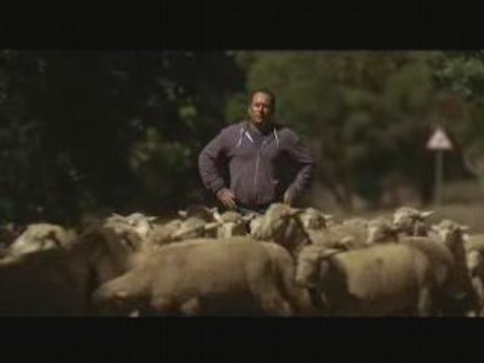 C3 Stop & Start / Citroen (o3/2oo8)