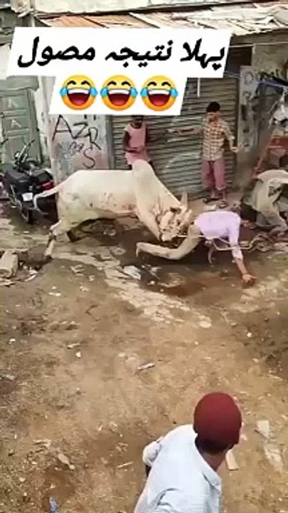 Facebook Video718
