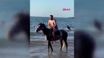 Şile'de plaja getirilen atlar insanların arasına daldı