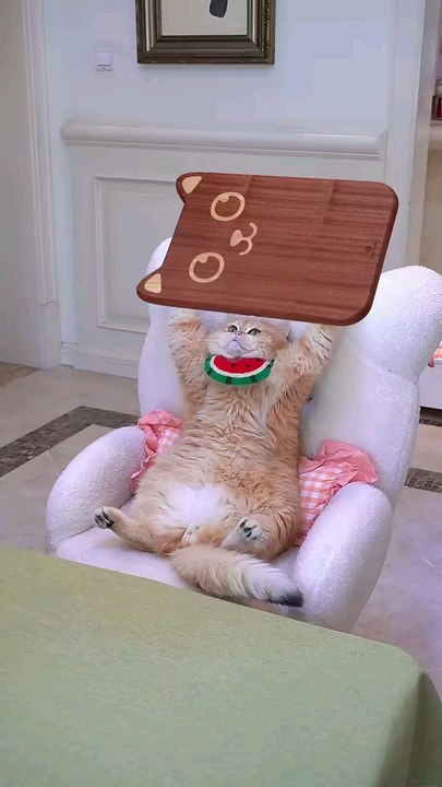 funny vidos bhut hi achi