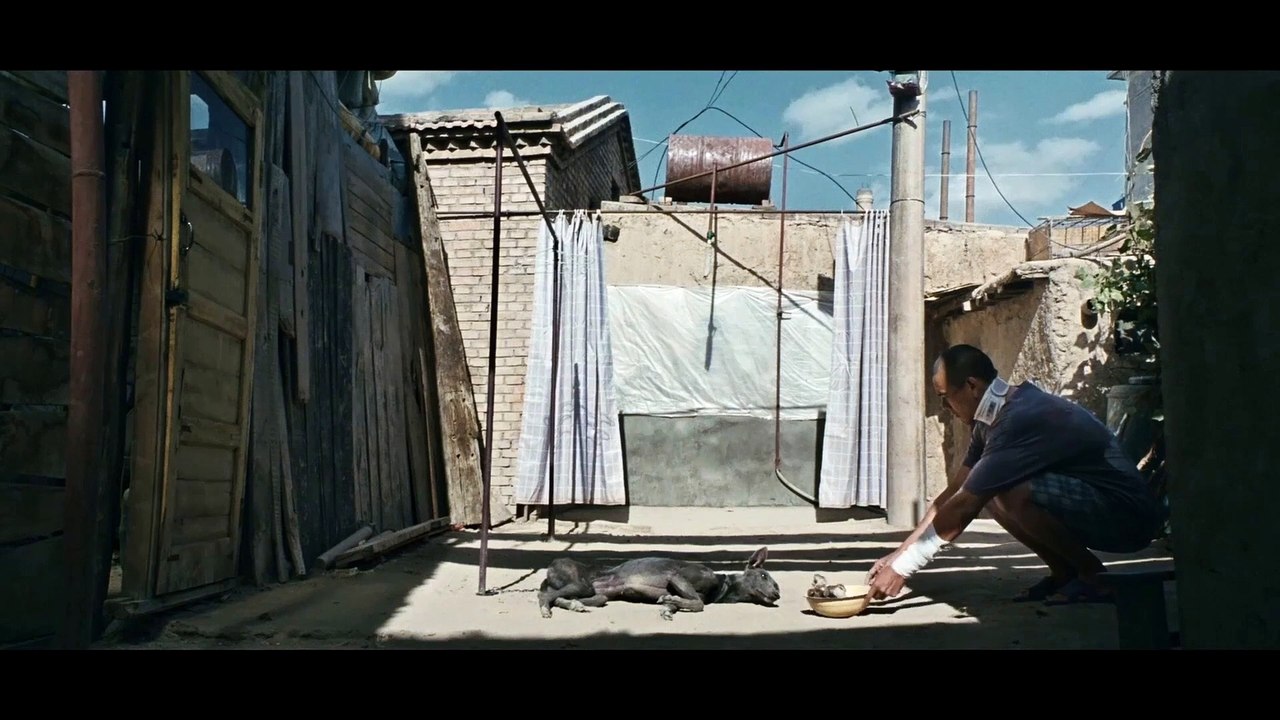 Black Dog - Weggefährten Trailer OmeU