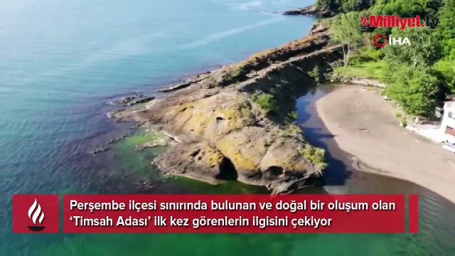 Doğru açıdan bakan görüyor! Ordu'da görenleri şaşkına çeviren kayalık