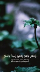 أَلَمْ تَرَ أَنَّ اللَّهَ يَسْجُدُ لَهُ مَن فِي السَّمَوَاتِ وَمَن فِي الْأَرْضِ