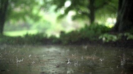 Relaxing Rain Sounds for Instant Sleep 🌧️