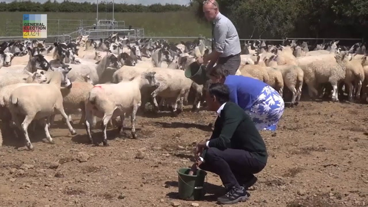 Rishi Sunak facing near wipeout in London with Tories squeezed by Labour and Reform
