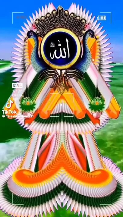 Naat, shortsvideo