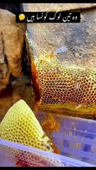 Allah pak teen bando se zayada pyar krta hai !/