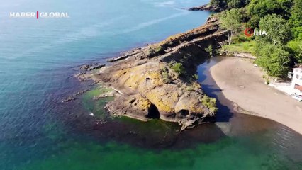 Adres Ordu: Bu adayı görenler timsah sanıyor