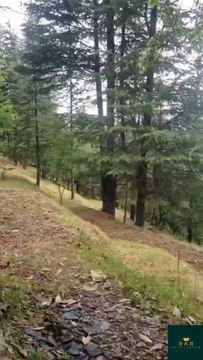 Embracing the Beauty of Mother Nature