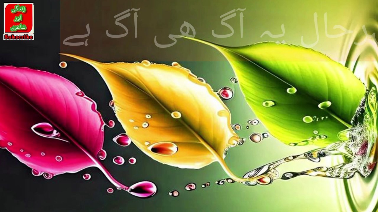 Best Urdu Poetry