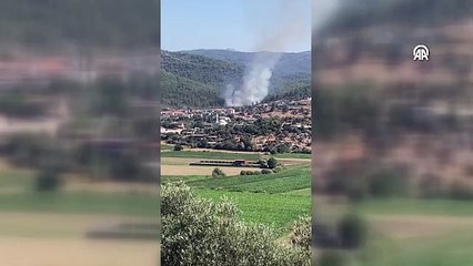 Bir yangın haberi de Milas'tan