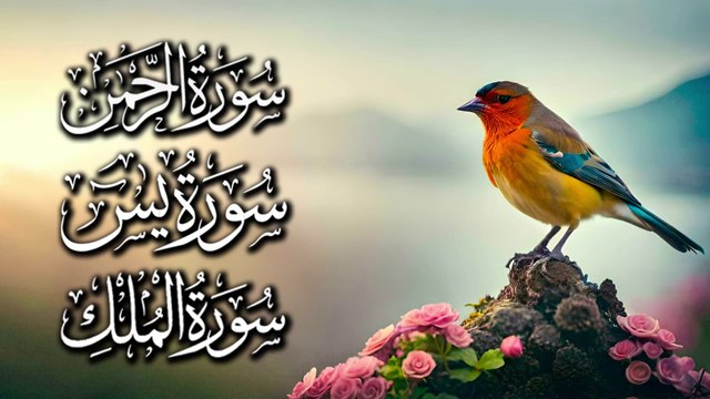 Surah Rahman, Surah Yaseen, Surah Mulk | Beautiful And Relaxing Quran Recitation