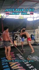 Muay Thai ☑️ Juste pour le kif‼️✅ Pour le plaisir des yeux‼️