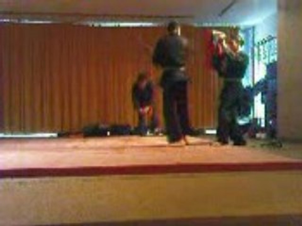 Jap'and Trégor Ninjutsu 01