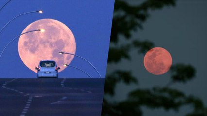 Strawberry Moon 2024: 21 June India में कब दिखेगा स्ट्रॉबेरी मून, Time Reveal |Boldsky