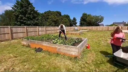 Sunderland pupils get back to nature with community garden project to help their mental wellbeing