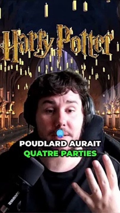 Poudlard divisé : 4 partis politiques pour quel avenir ?