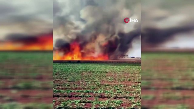 300 dönüm buğday tarlası ve traktör çıkan yangında kül oldu