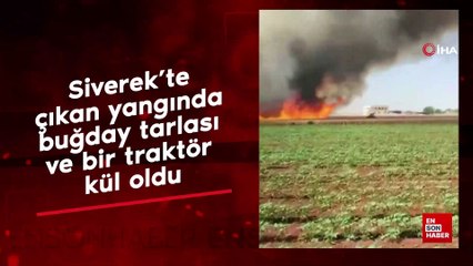 Siverek'ta çıkan yangında buğday tarlası ve bir traktör kül oldu