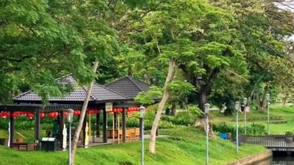 Em còn nhớ Huế không - Tác giả Trần Quang Lộc