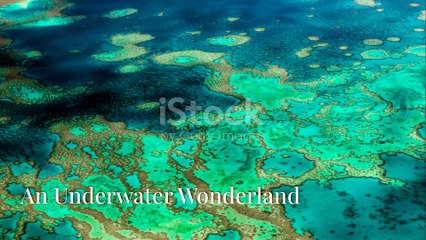 Explore the Globe_ Top Destinations for  travellers