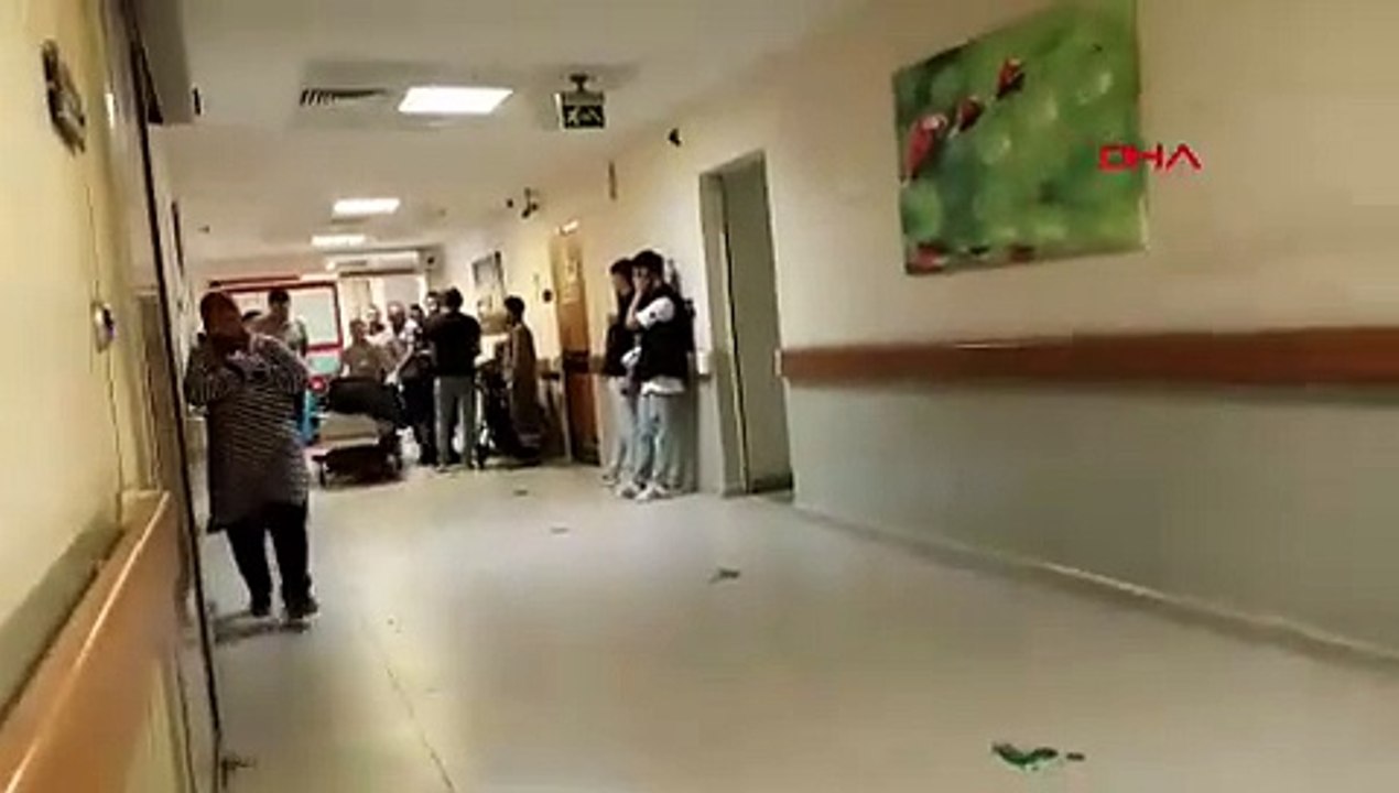 BURSA Ihlamur toplarken ağaçtan düşüp öldü