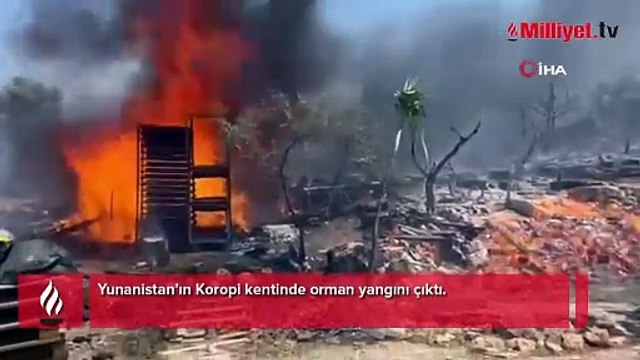 Yunanistan'da orman yangını! Bölge sakinlerine tahliye emri