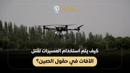 كيف يتم استخدام المسيرات لقتل الآفات في حقول الصين؟