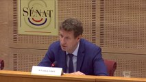 TotalEnergies : le Sénat demande la fin des importations de gaz russe en France