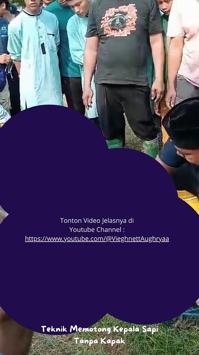 Teknik Memotong Kepala Sapi