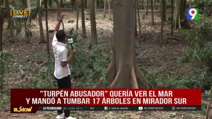 Hombre derriba árboles para poder ver el mar | El Show del Mediodía