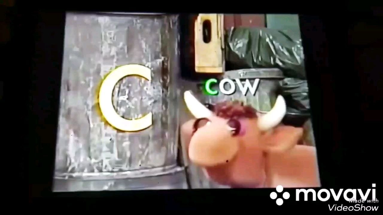 Cow